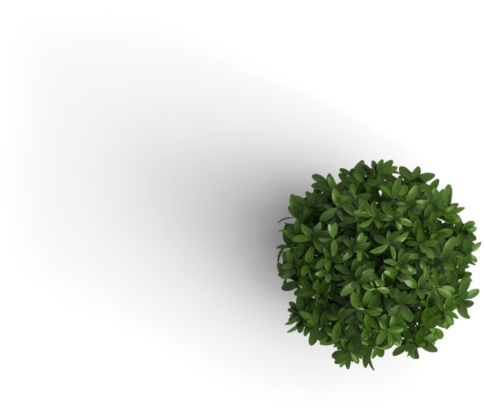 Timeshare Consulting | Target market strategies timeshare sales